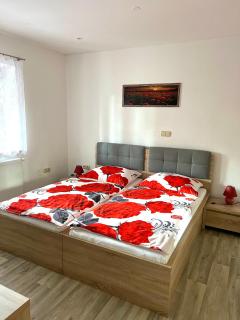 Slunný domek s terasou a zahradou - 7