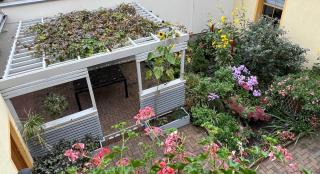 Apartment Marktgeflüster - Bad Düben - 4