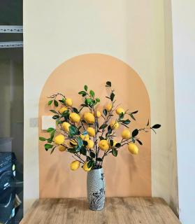 The Song Apartment 5 Stars Vung Tau - Căn Hộ Du Lịch Biển Vũng Tàu - 6