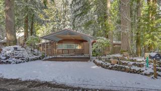BearlyMuvin Cabin - Rhododendron - 9