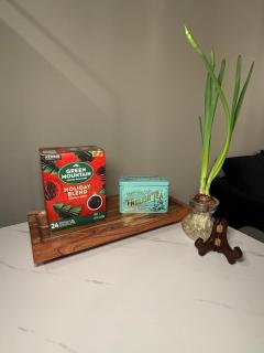 Basement suite with private entrance - 5