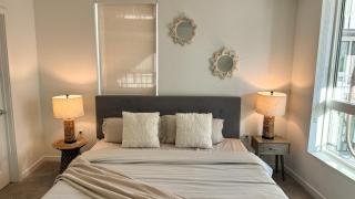 Luxury 1BDR centrally located in Hollywood - 2