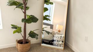 Luxury 1BDR centrally located in Hollywood - 4