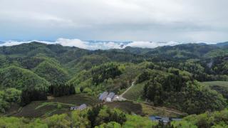 Zhangjiajie Mount View Cottage - 1
