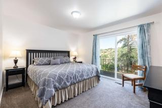 Dimple Dell Whole Mountain Setting, Near Trails! - 6