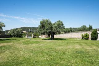 Villa Nadia, with an exclusive swimming pool - Monterosi - 6