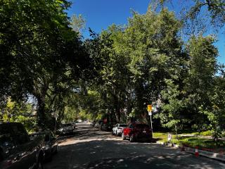 Nature Home Near Downtown and 17th Avenue - 2