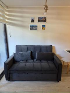 Cómodo depto estudio- Céntrico- Equipado- Piscina - 4