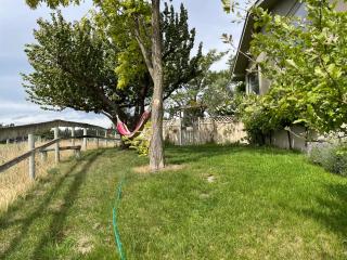 Central Otago Farmlet - 1