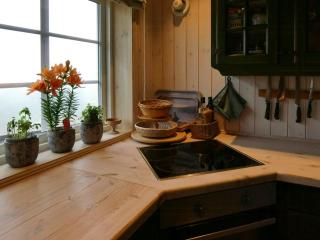 Timber Cabin In Sjusjøen - 5