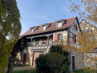 La cour du vigneron - 1