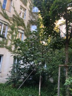 Vienna Top Comfort Apartment - 2