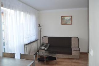 Apartament Ustrzyki - Ustrzyki Dolne - 9