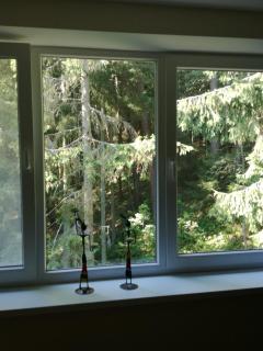 Family-friendly 2 rooms apartment with view to a forest - Juodkrantė - 1