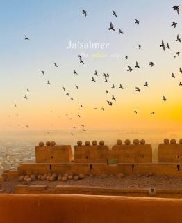 Royaal Exotic Family Luxry Resort And Camp - 3