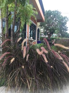 Sata House Boutique Resort - Nakhon Ratchasima - 7