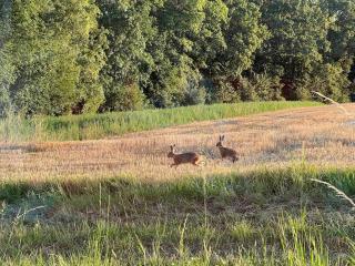 Zeitlberg Panoramawohnung mit PRIVAT SPA - 5