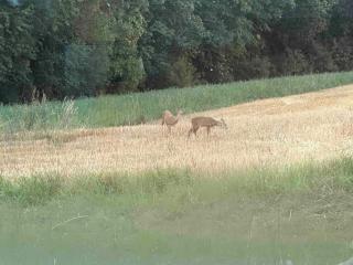 Zeitlberg Panoramawohnung mit PRIVAT SPA - 6