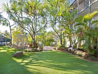 Mantra Club Croc - 3