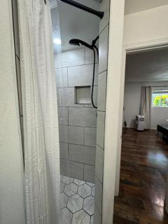 Cozy Studio with King Bed - 1