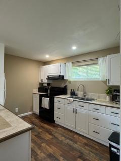 Cozy Studio with King Bed - 6