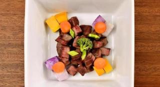 Corredor Yugawara Dog＆Resort - 9