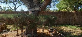 O RETIRO Da PÁSCOA - 0