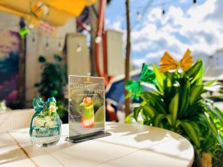 SANDALS FLORA HOTEL - 9