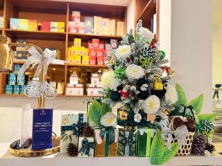 SANDALS FLORA HOTEL - 8