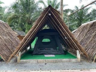 Khaosok August Freedom Camp - 5