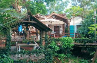 Bosque de Ángeles - 0