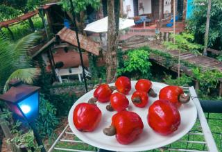 Bosque de Ángeles - 2