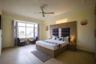 The Walnut Stays - 5