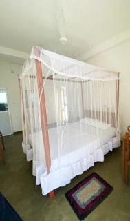 Double D Inn Ahangama - 1