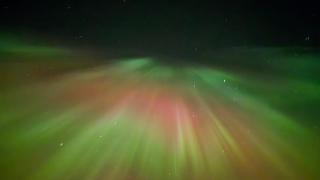 HomeNest with sauna with warm garage - 5