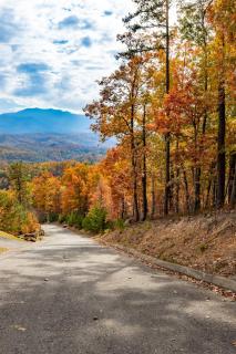 Stunning Sunrise at MistyDreams• Lux 4BD Sleeps 12 - 6