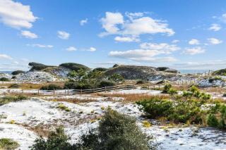 Seas the Day - Inlet Beach - 3