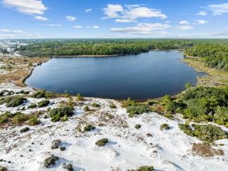 Seas the Day - Inlet Beach - 2