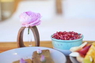 Rabwa Geodesic Dome - 2