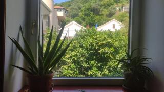 Woodpecker Backpacker Hostel & Tours , Excursions - 5