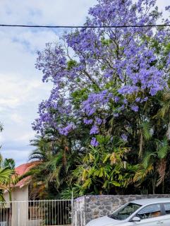 Chez Liliane et Henri - 9