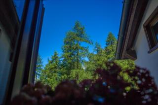 Hotel Camping Grivola - 3