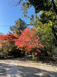 サニーサイドホステル1号館 - 5