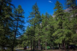 Hotel Camping Grivola - 5