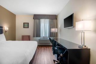 Econo Lodge Inn & Suites Springfield Main Street - 5