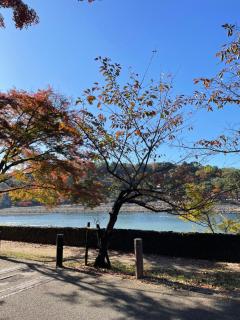 サニーサイドホステル1号館 - 1