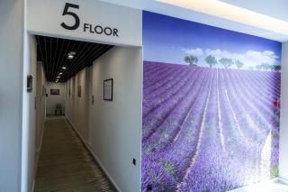 Lavanda hotel Free Airport Service - 6