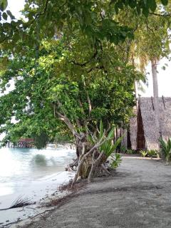 Mamere Homestay Raja Ampat - 9