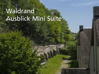 Kartause Ittingen - Warth - 2