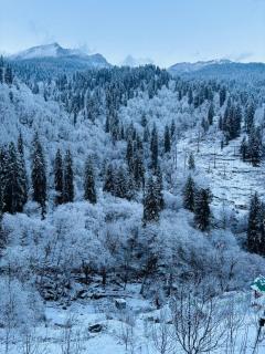 Meet by cooincidence homestay - A place of peace and nature - 8